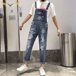 Vintage Jean Overalls